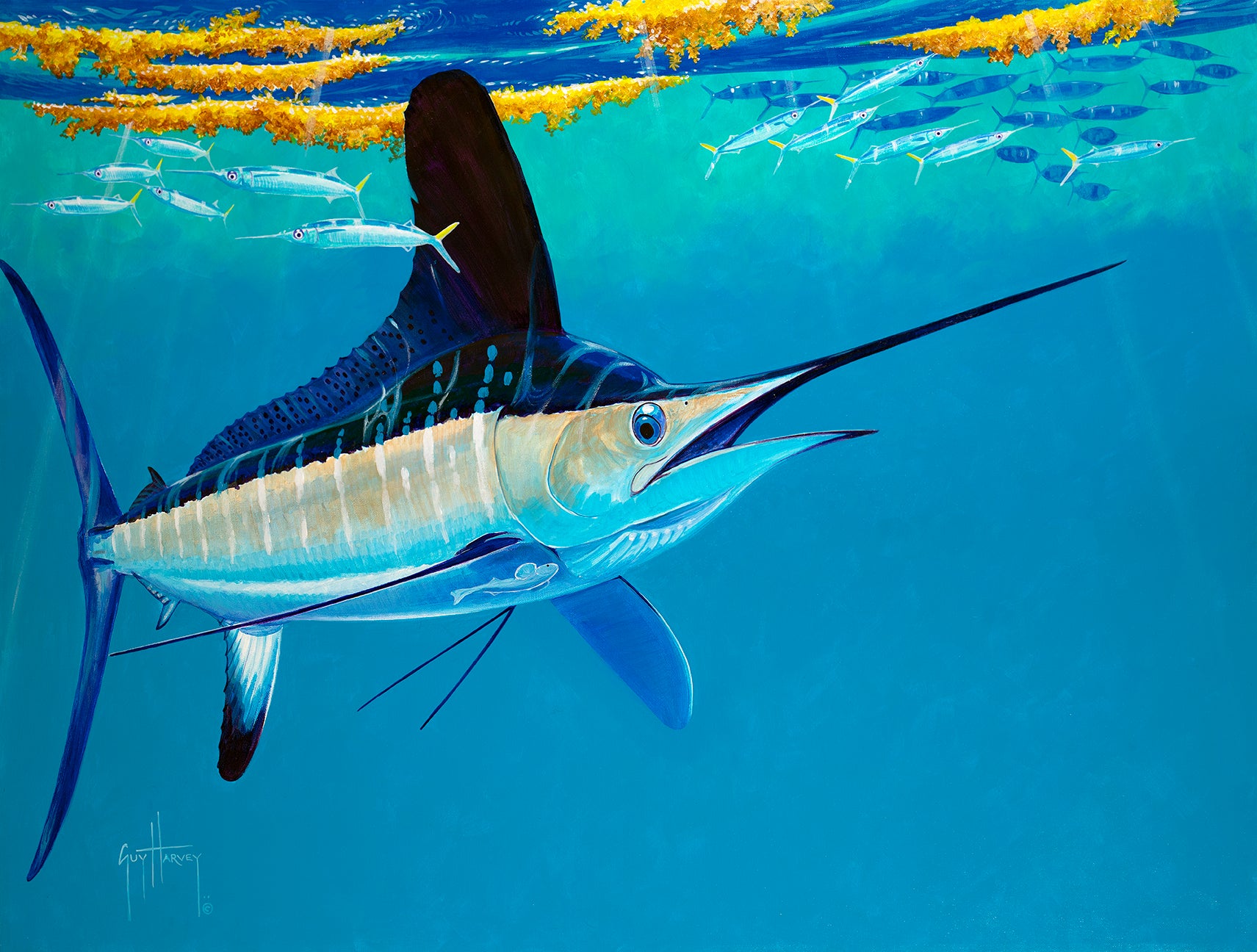 Guy Harvey Iphone Wallpapers