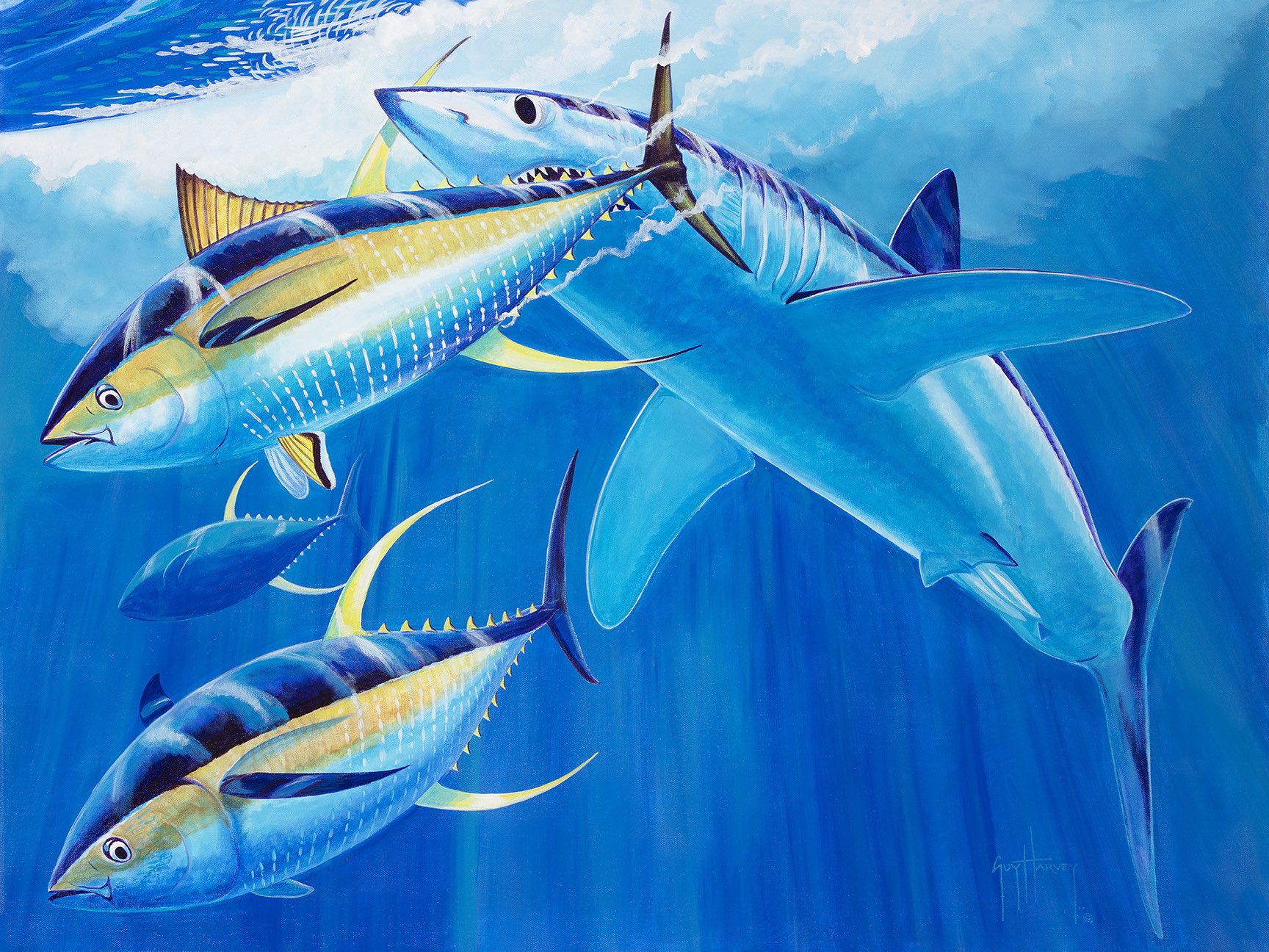 Guy Harvey Iphone Wallpapers