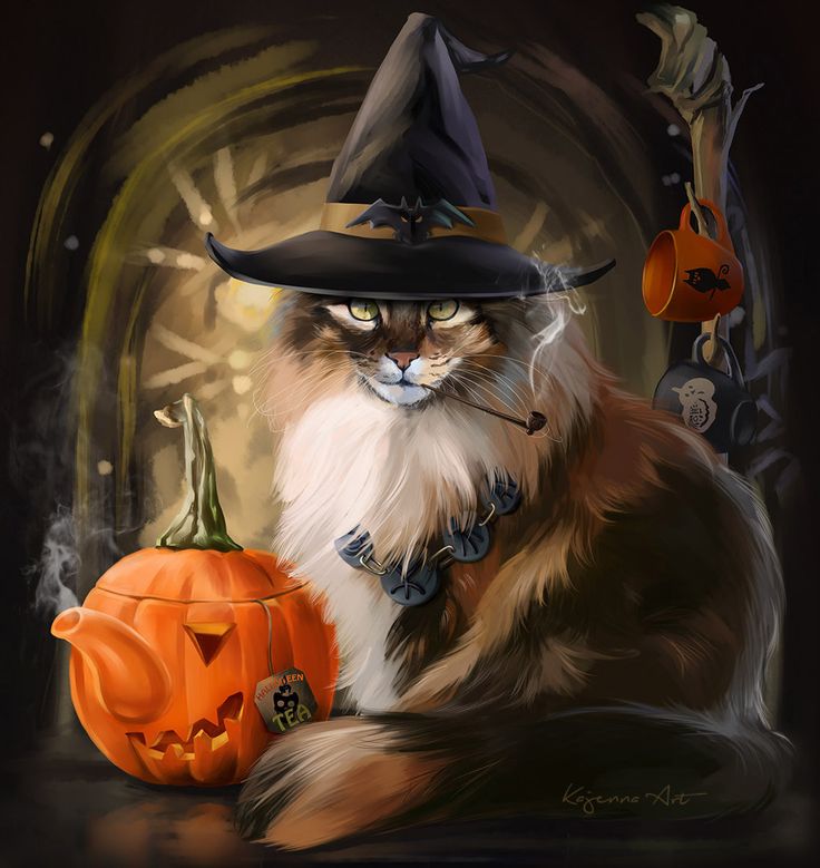 Halloween Cats Wallpapers