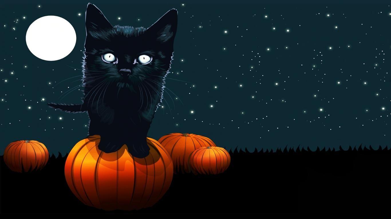 Halloween Cats Wallpapers