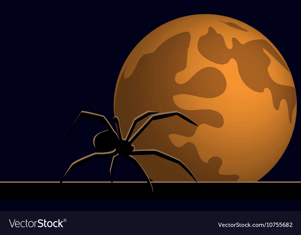 Halloween Spider Wallpapers