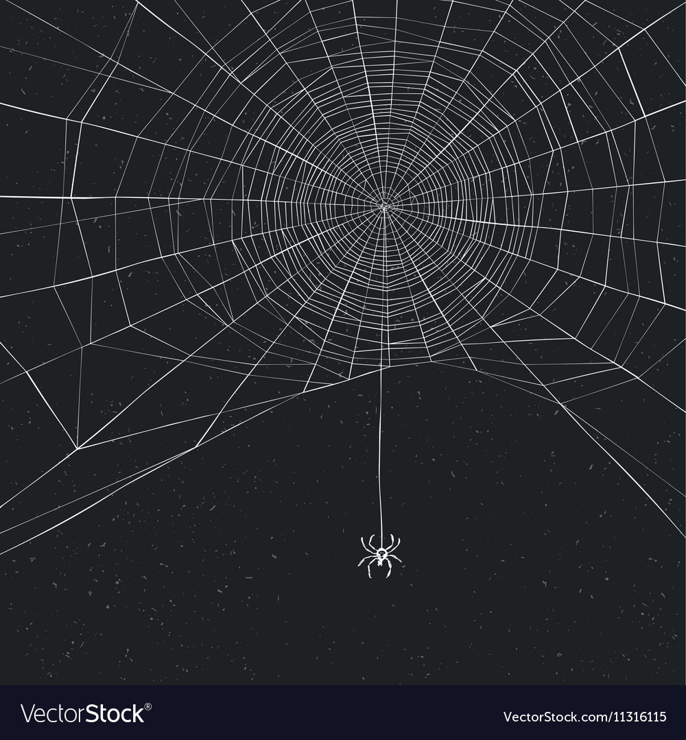 Halloween Spider Web Wallpapers