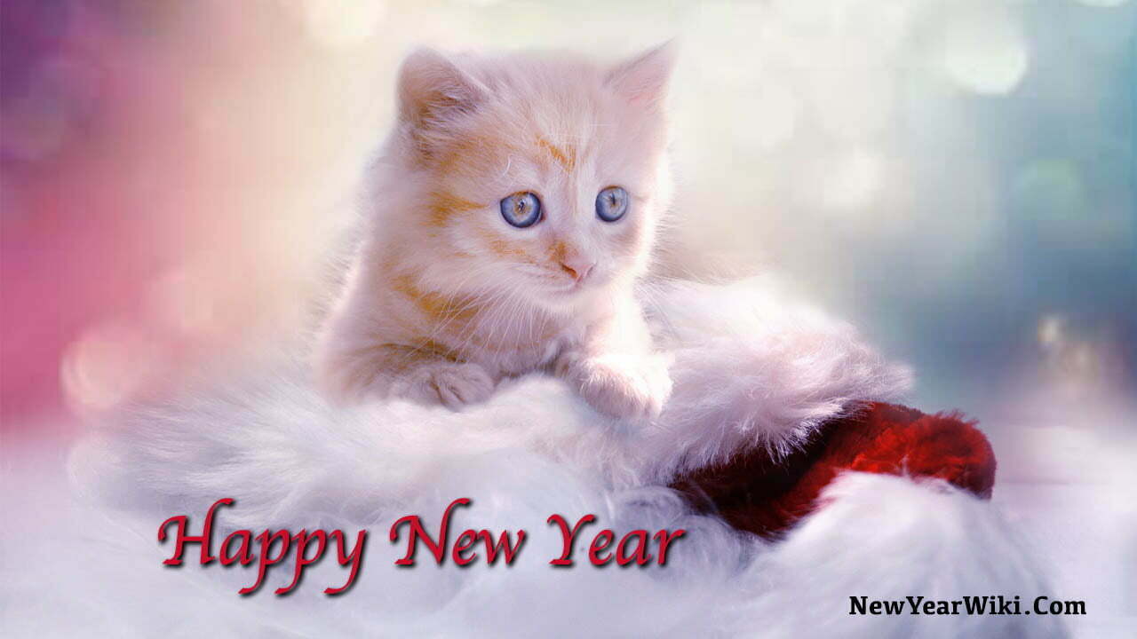 Happy New Year Cats Wallpapers