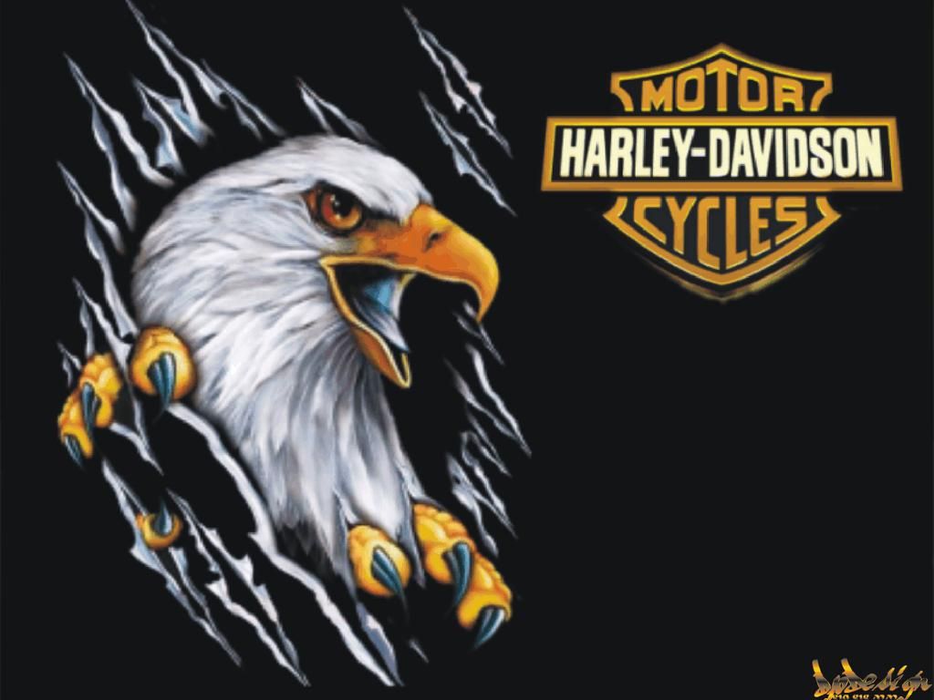 Harley Davidson Logo Eagle Wallpapers