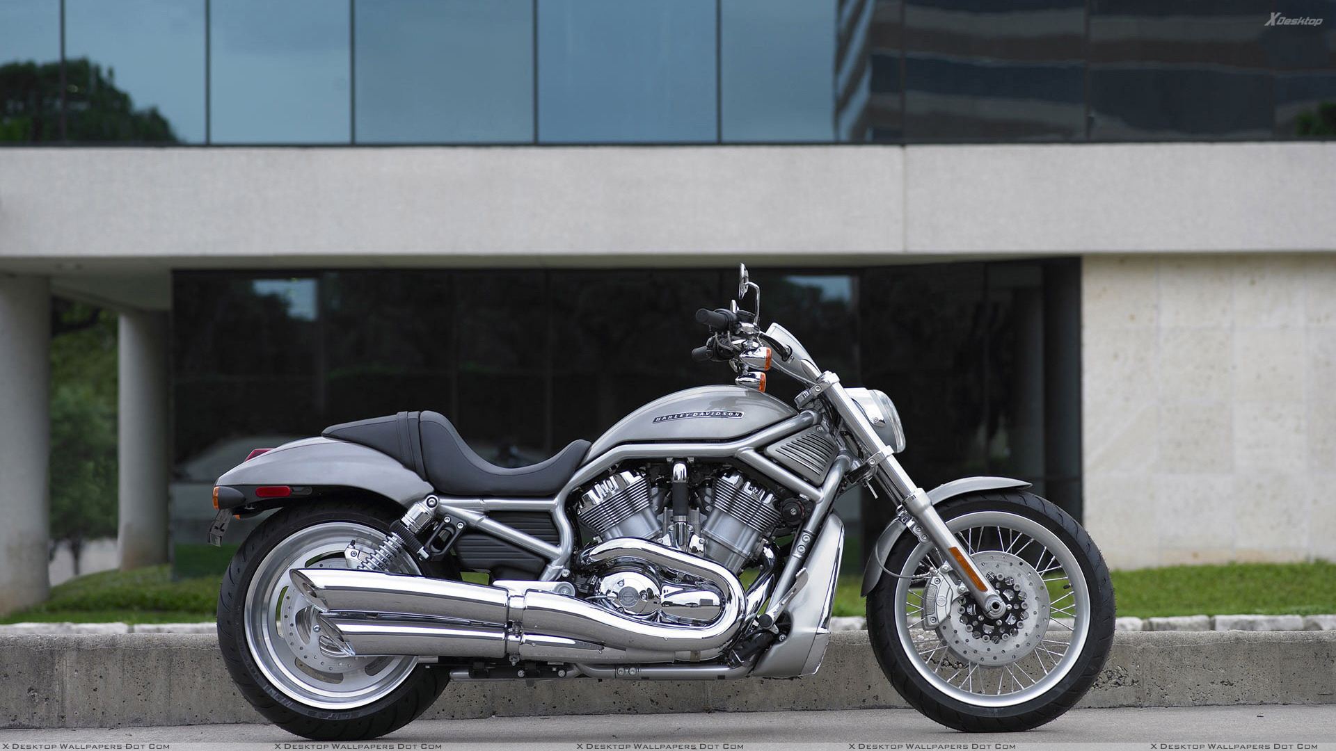 Harley Davidson V Rod Images Wallpapers