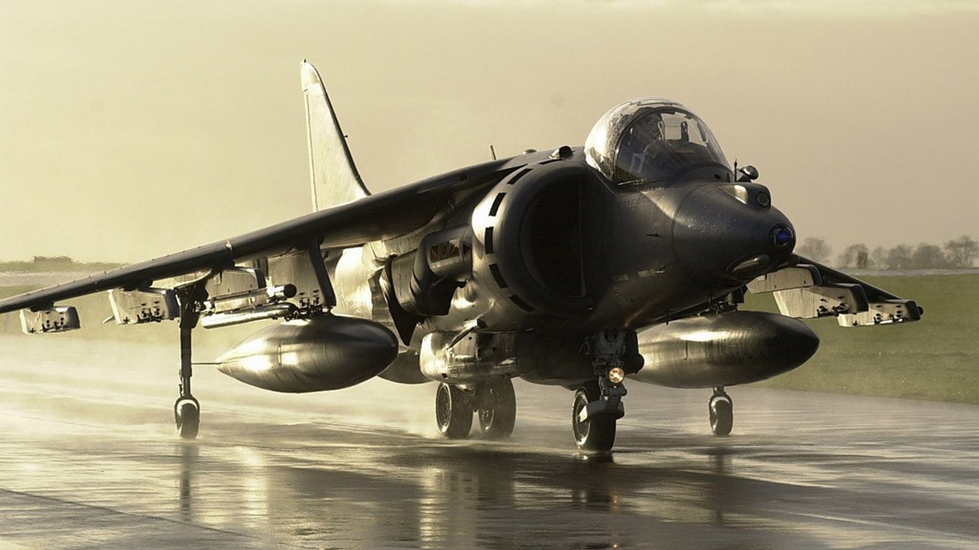 Harrier Wallpapers