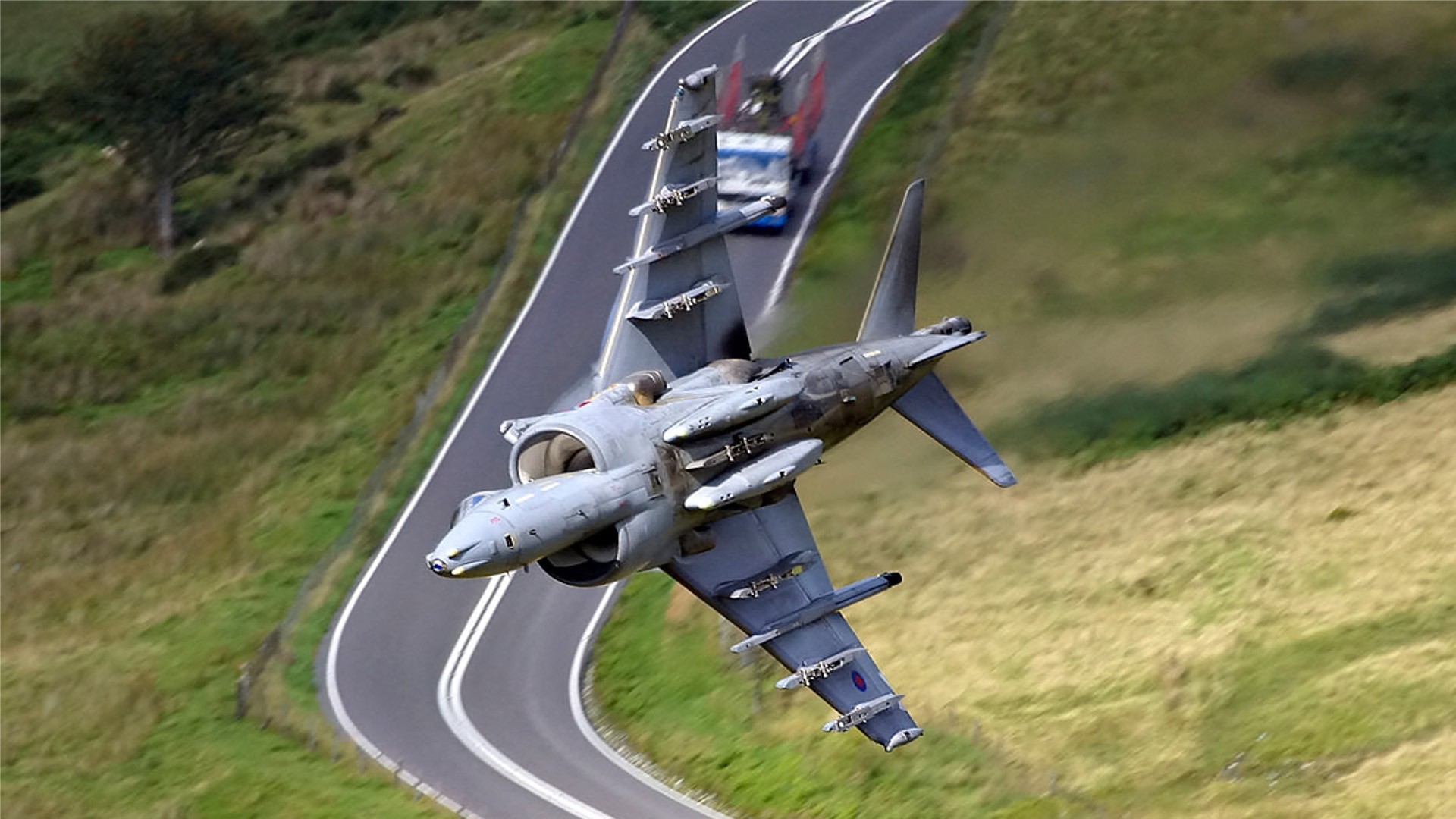 Harrier Wallpapers