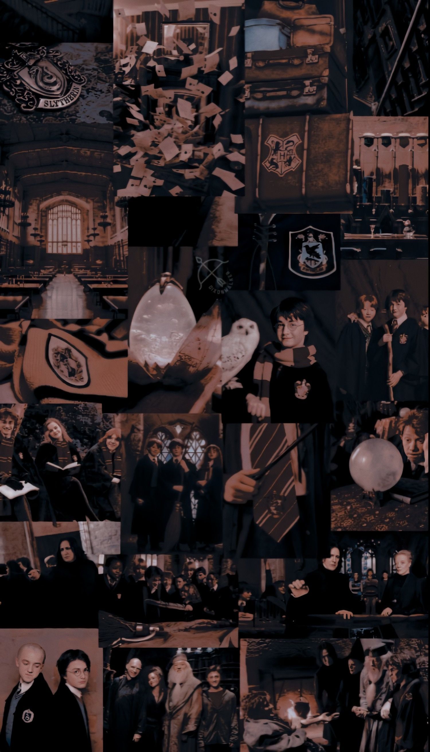 Harry Potter Characters Wallpapers