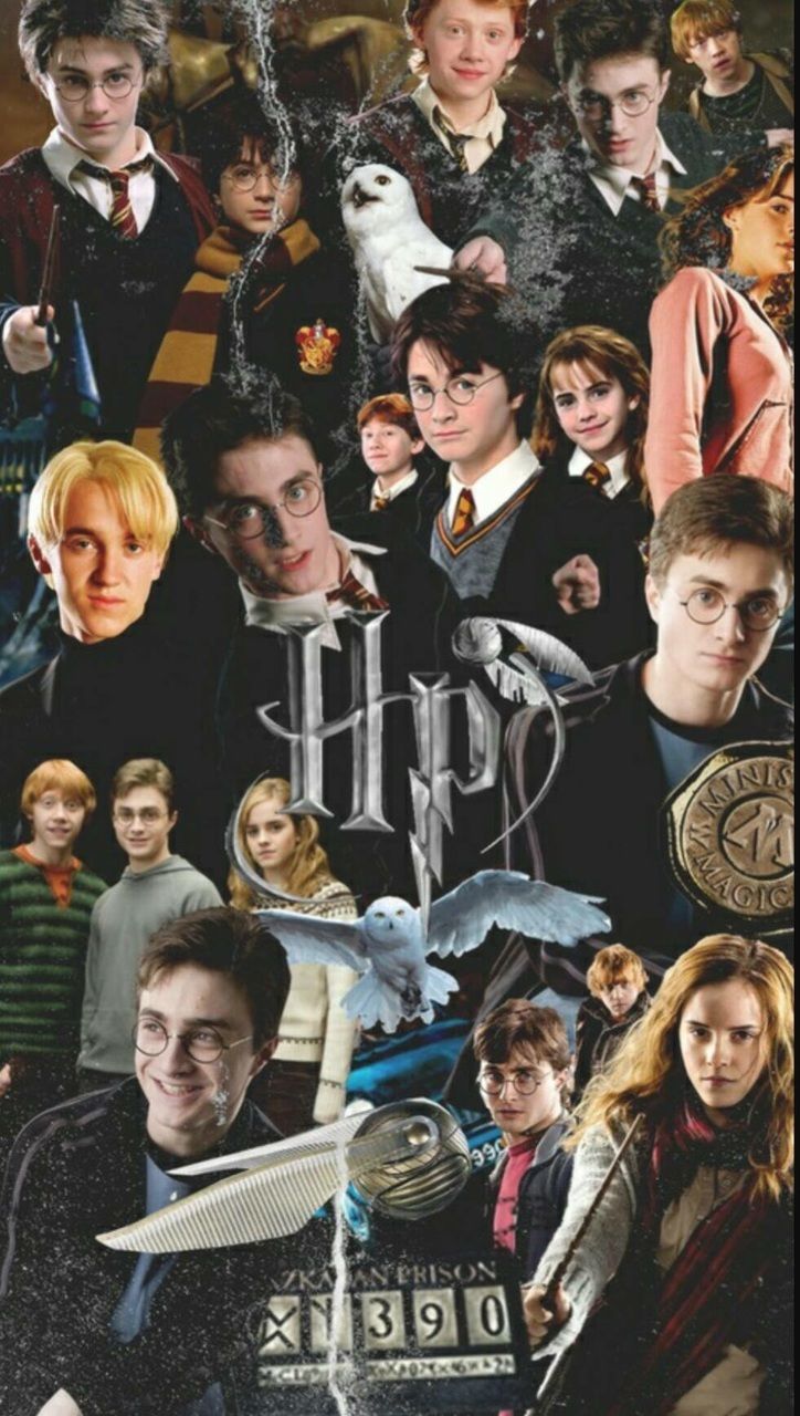 Harry Potter Group Photo Wallpapers
