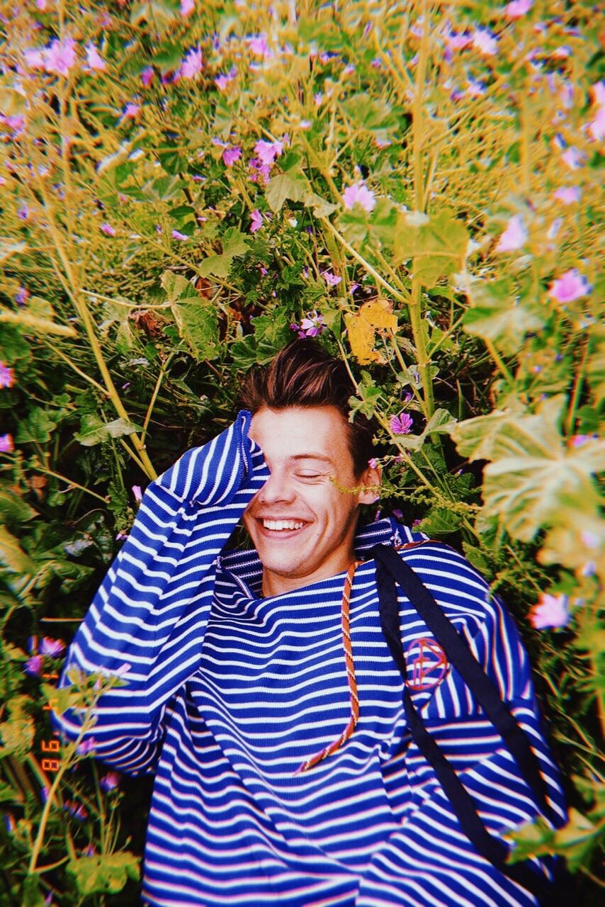 Harry Styles Iphone Wallpapers