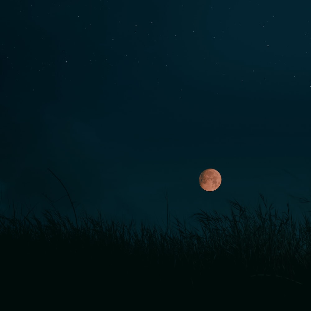 Harvest Moon Wallpapers