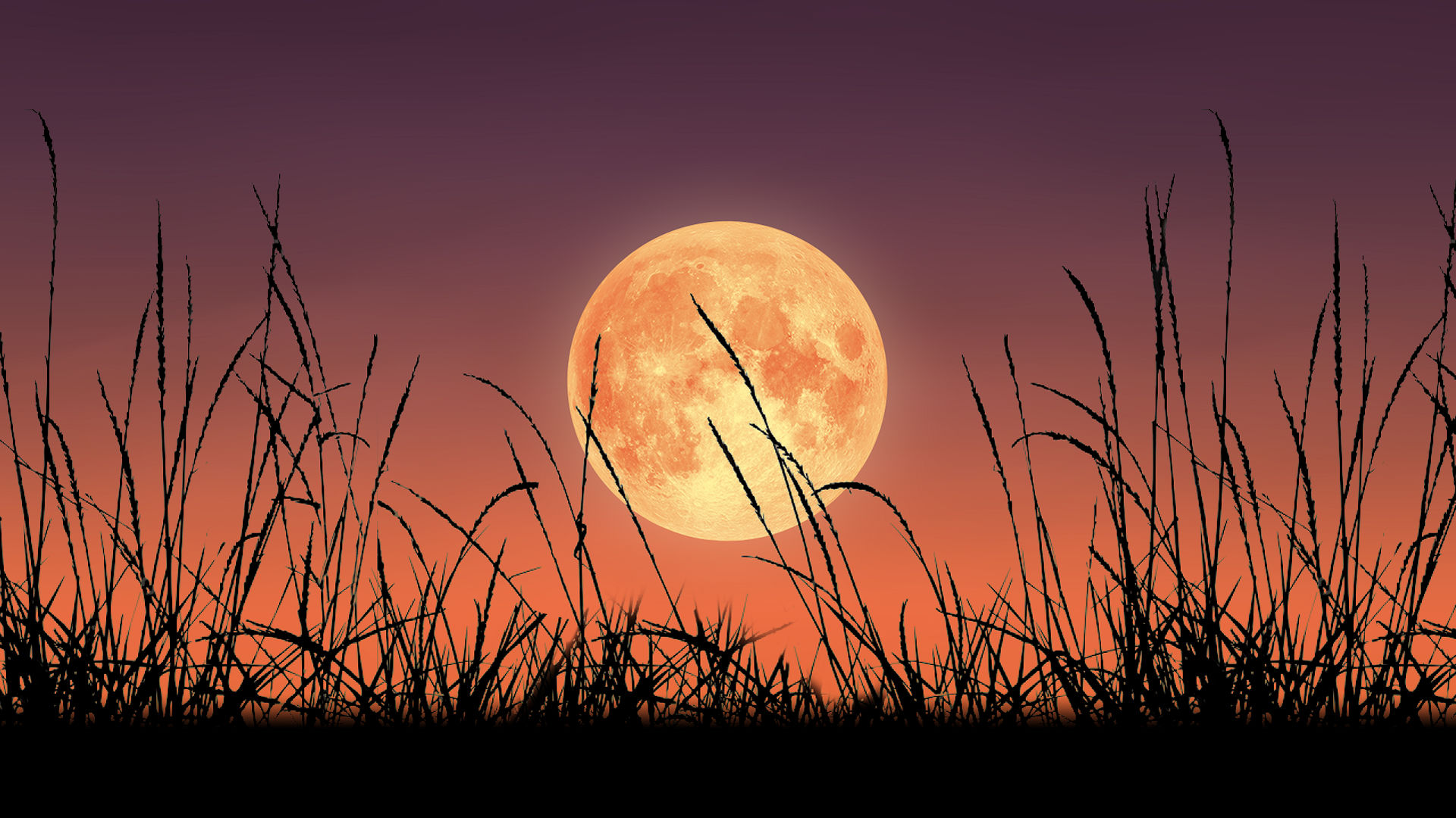 Harvest Moon Wallpapers