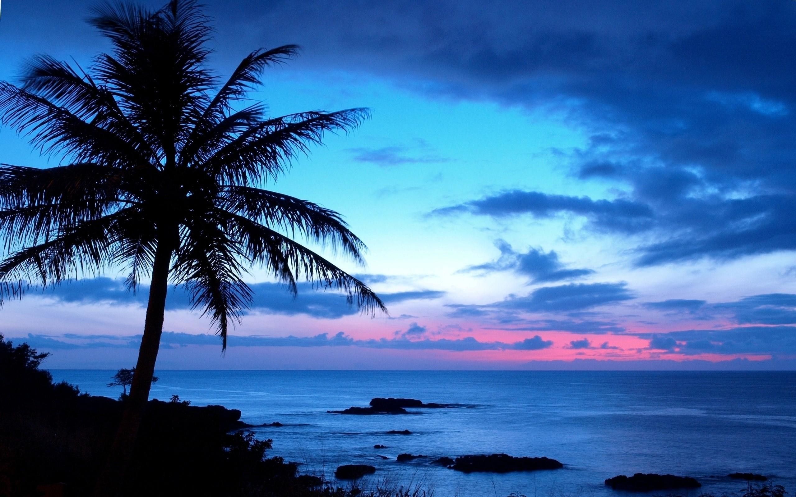 Hawaii Beaches At Night Wallpapers