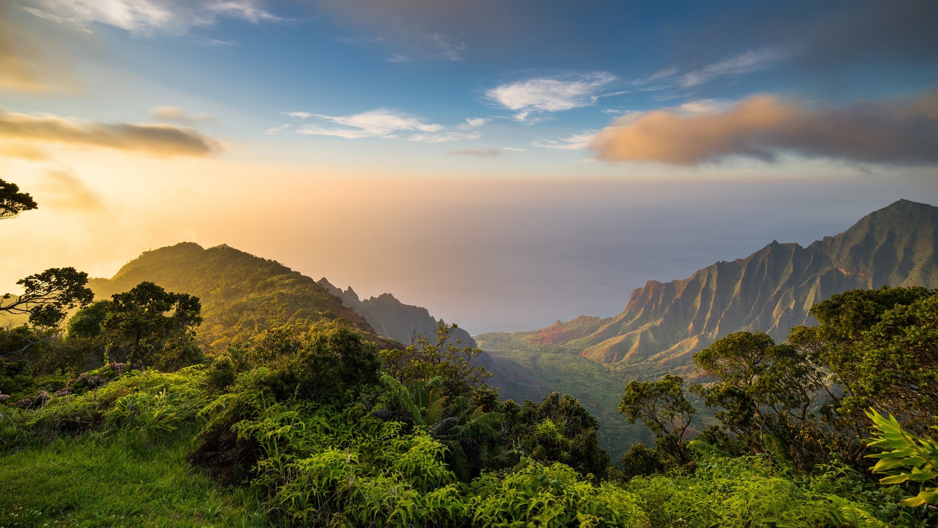 Hawaii Forest Wallpapers