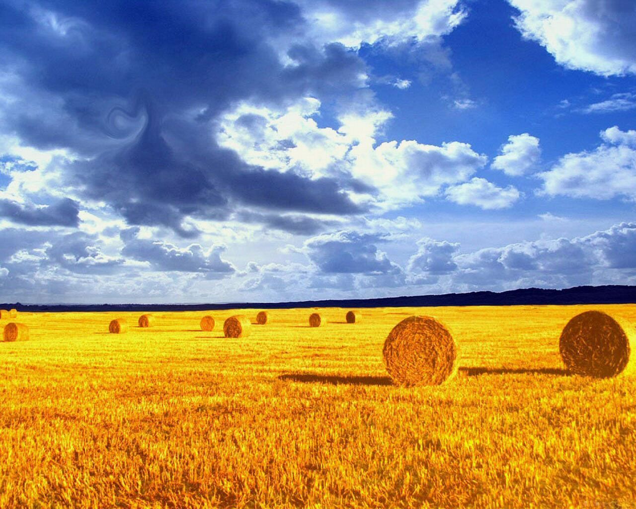 Hay Field Wallpapers