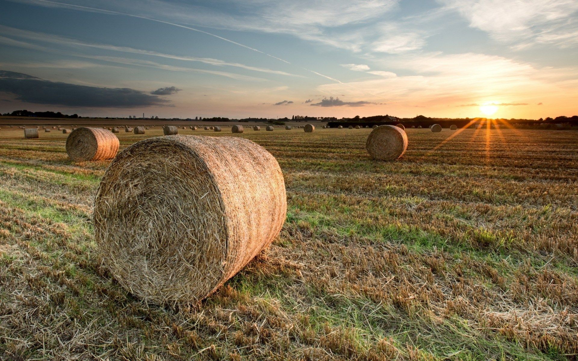 Hay Field Wallpapers