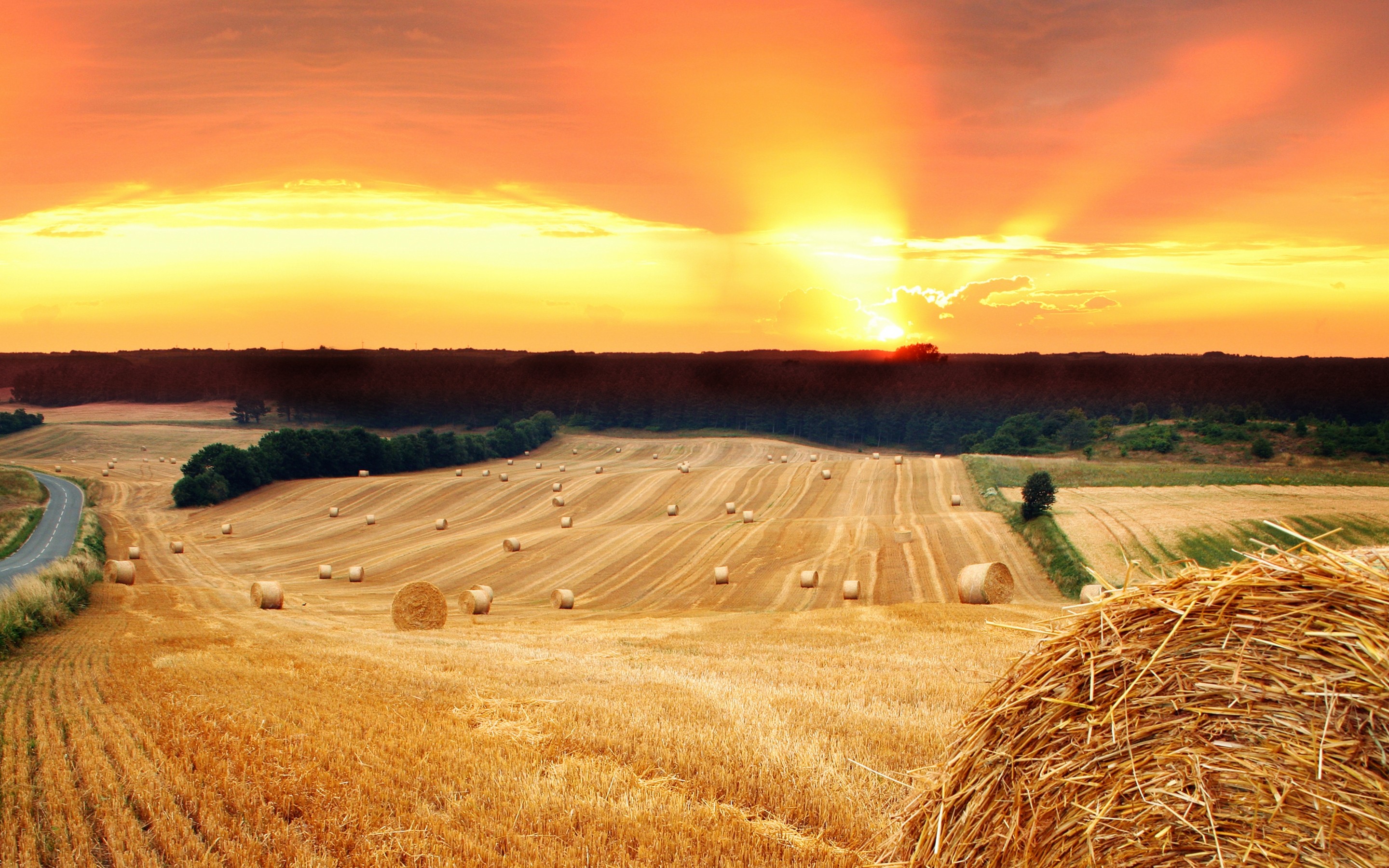 Hay Field Wallpapers