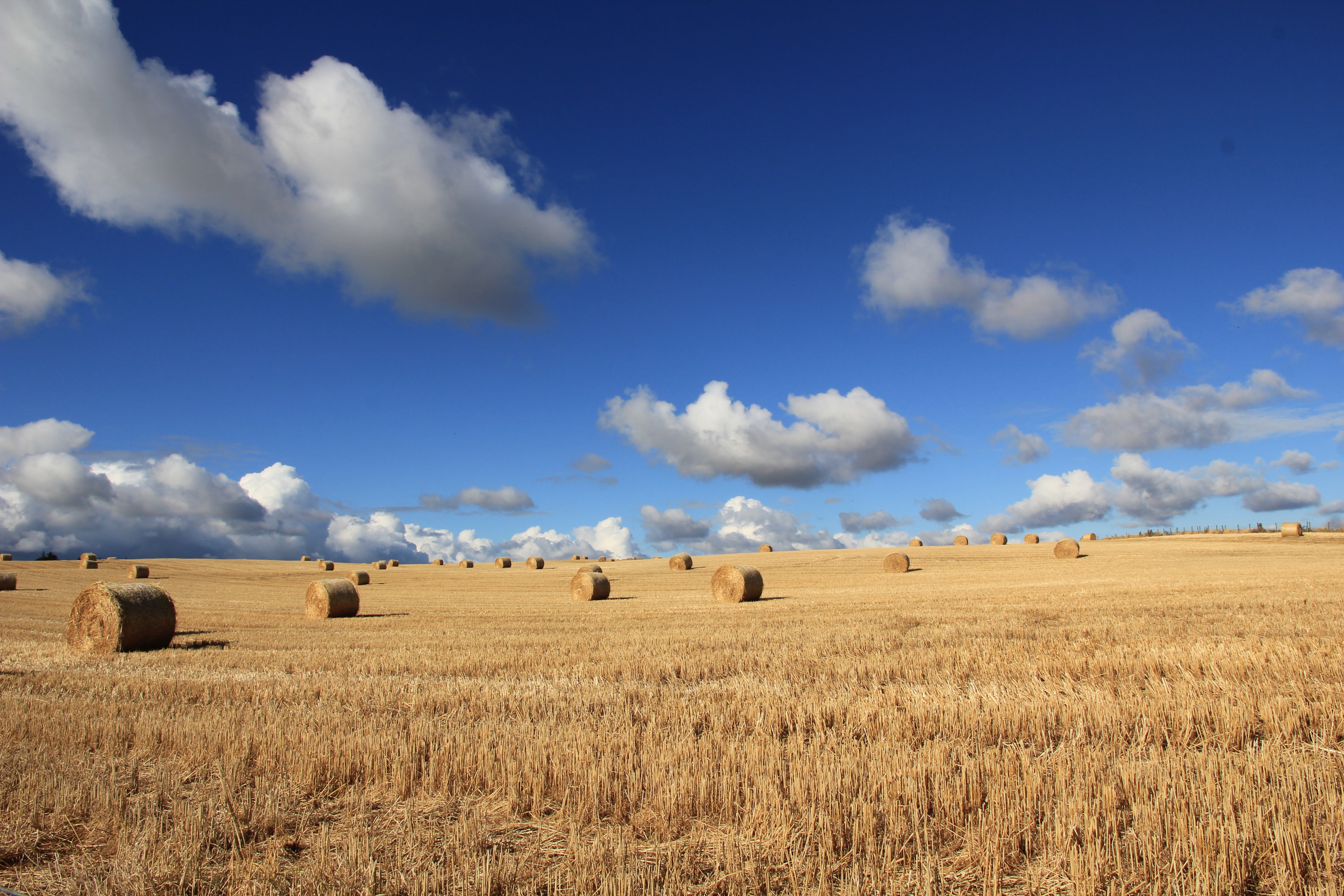 Hay Field Wallpapers