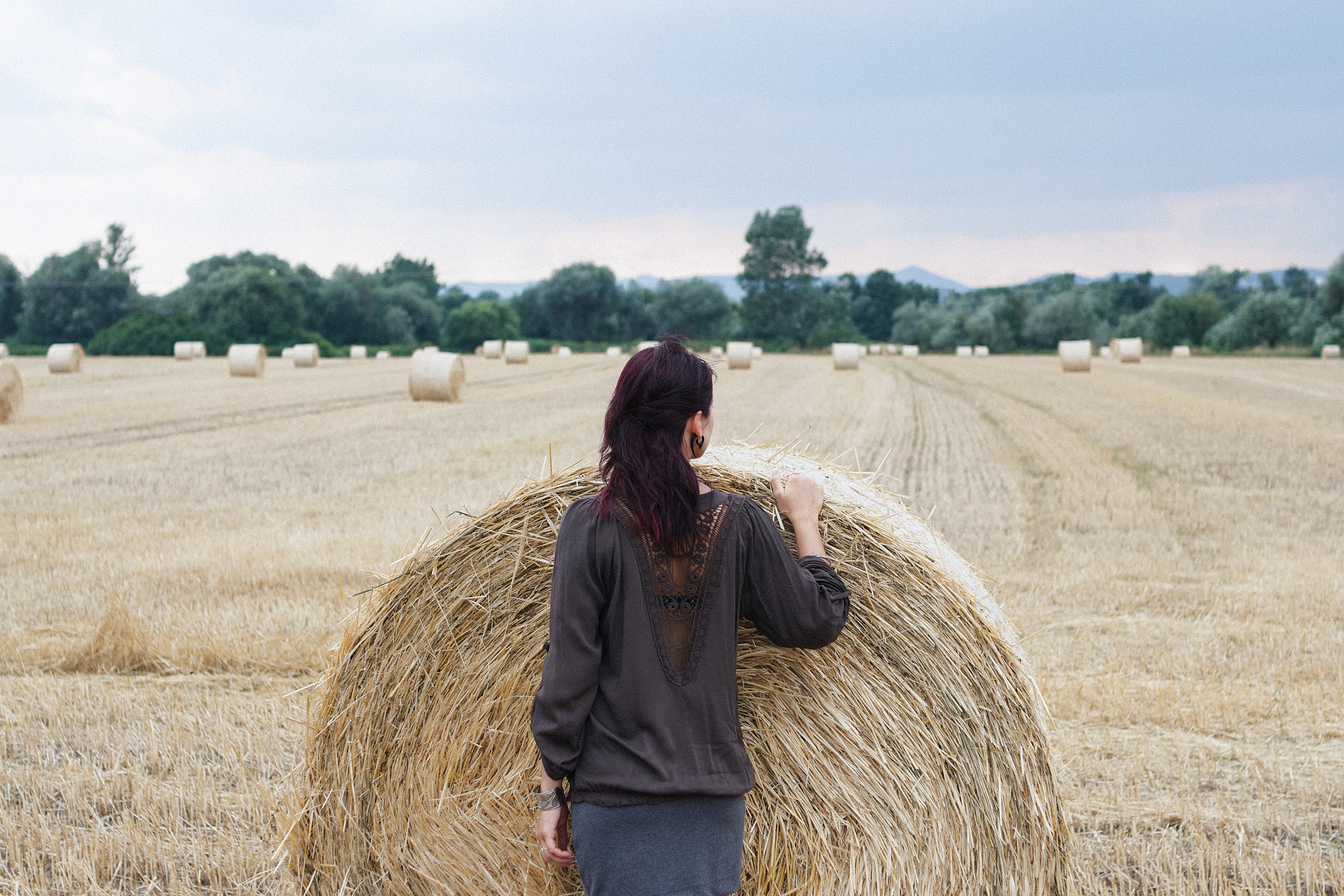 Hay Field Wallpapers