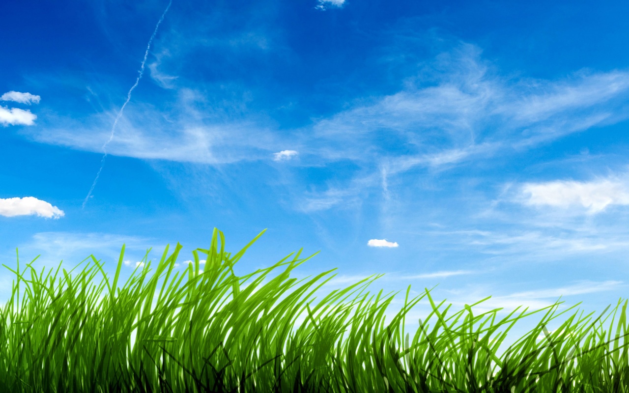 Hd Grass Wallpapers