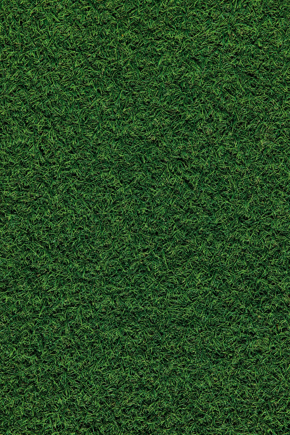 Hd Grass Wallpapers