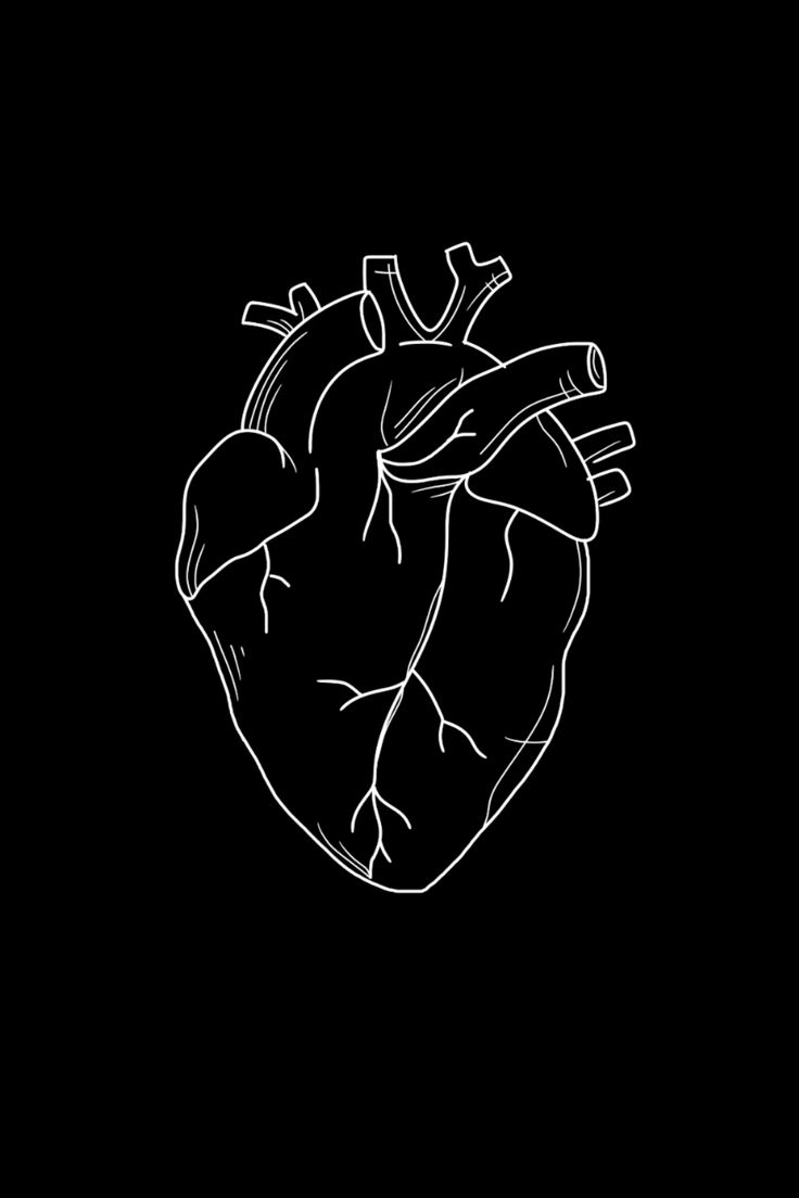 Heart Anatomy Wallpapers