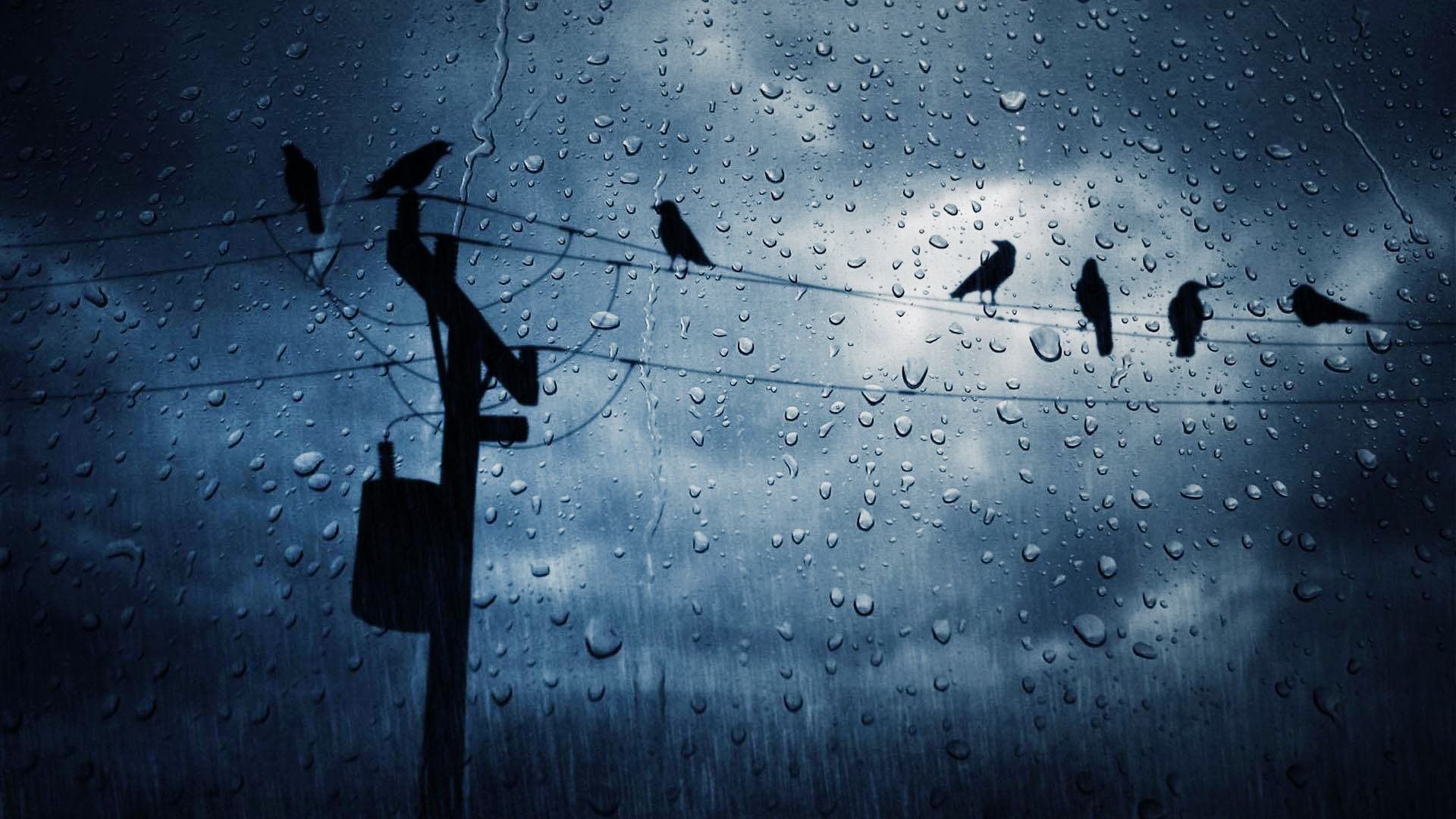 Heavy Rain Wallpapers