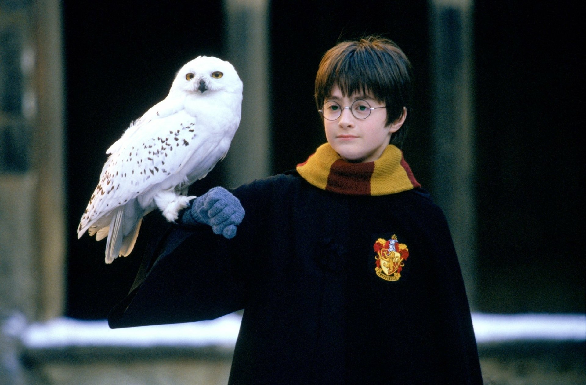 Hedwig Wallpapers