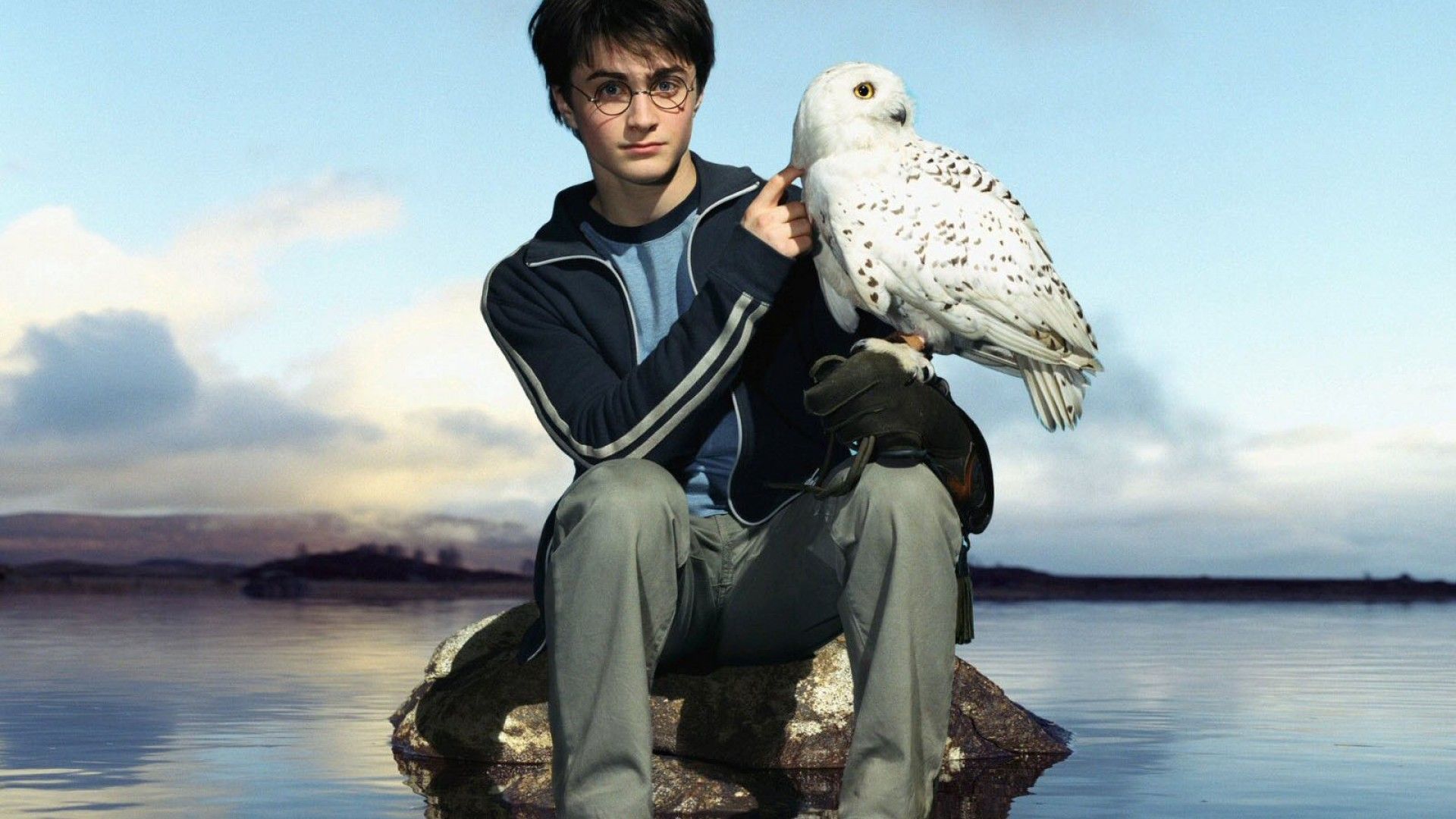 Hedwig Wallpapers