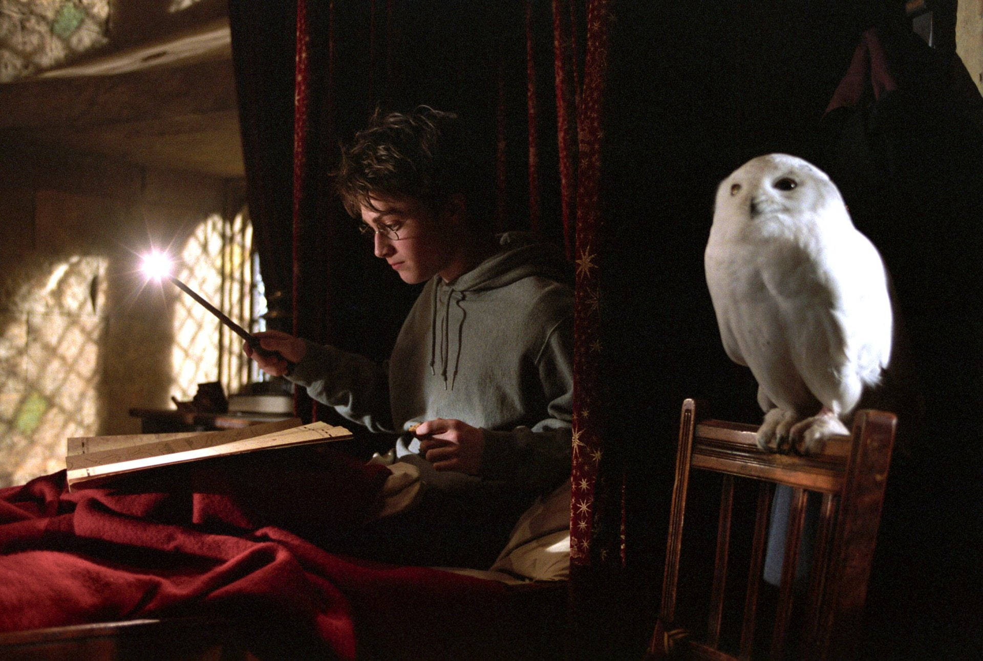 Hedwig Wallpapers