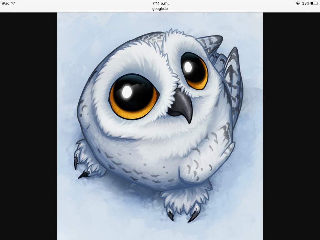 Hedwig Wallpapers