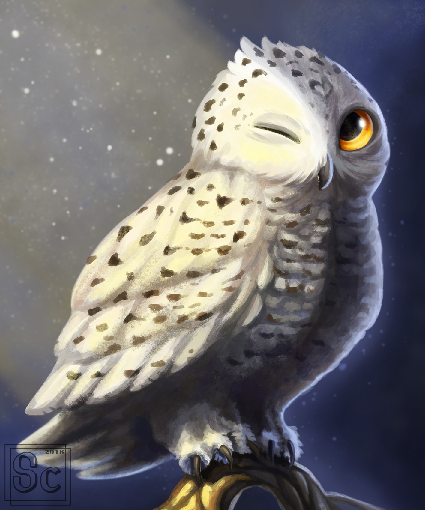 Hedwig Wallpapers