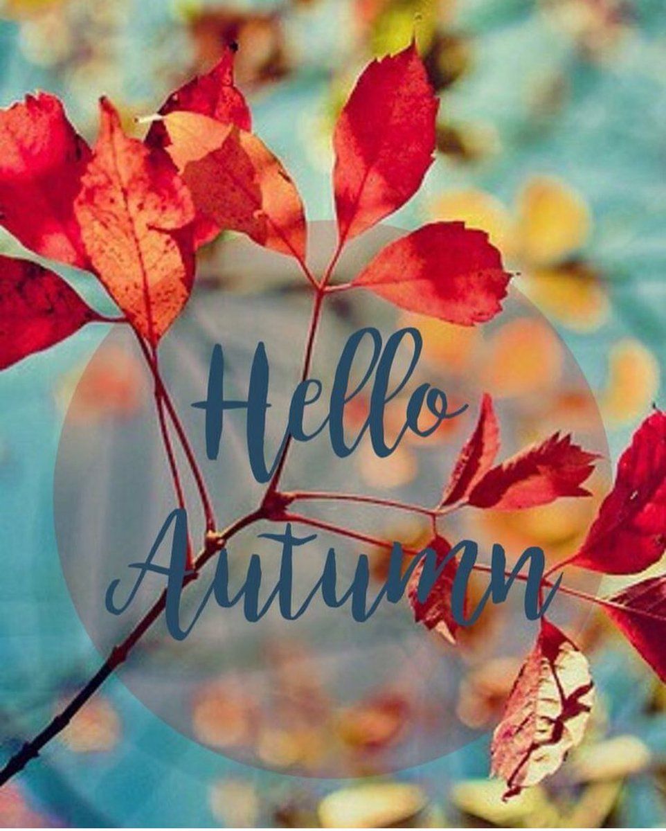 Hello Autumn Wallpapers