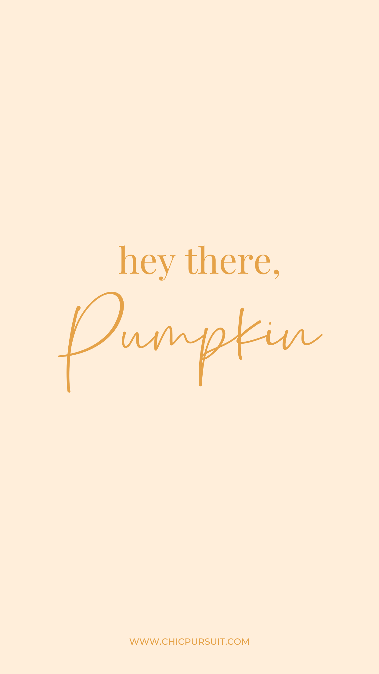 Hello Pumpkin Wallpapers