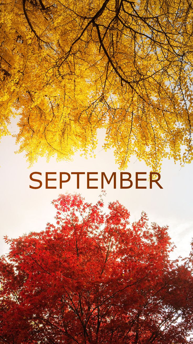 Hello September Images Wallpapers