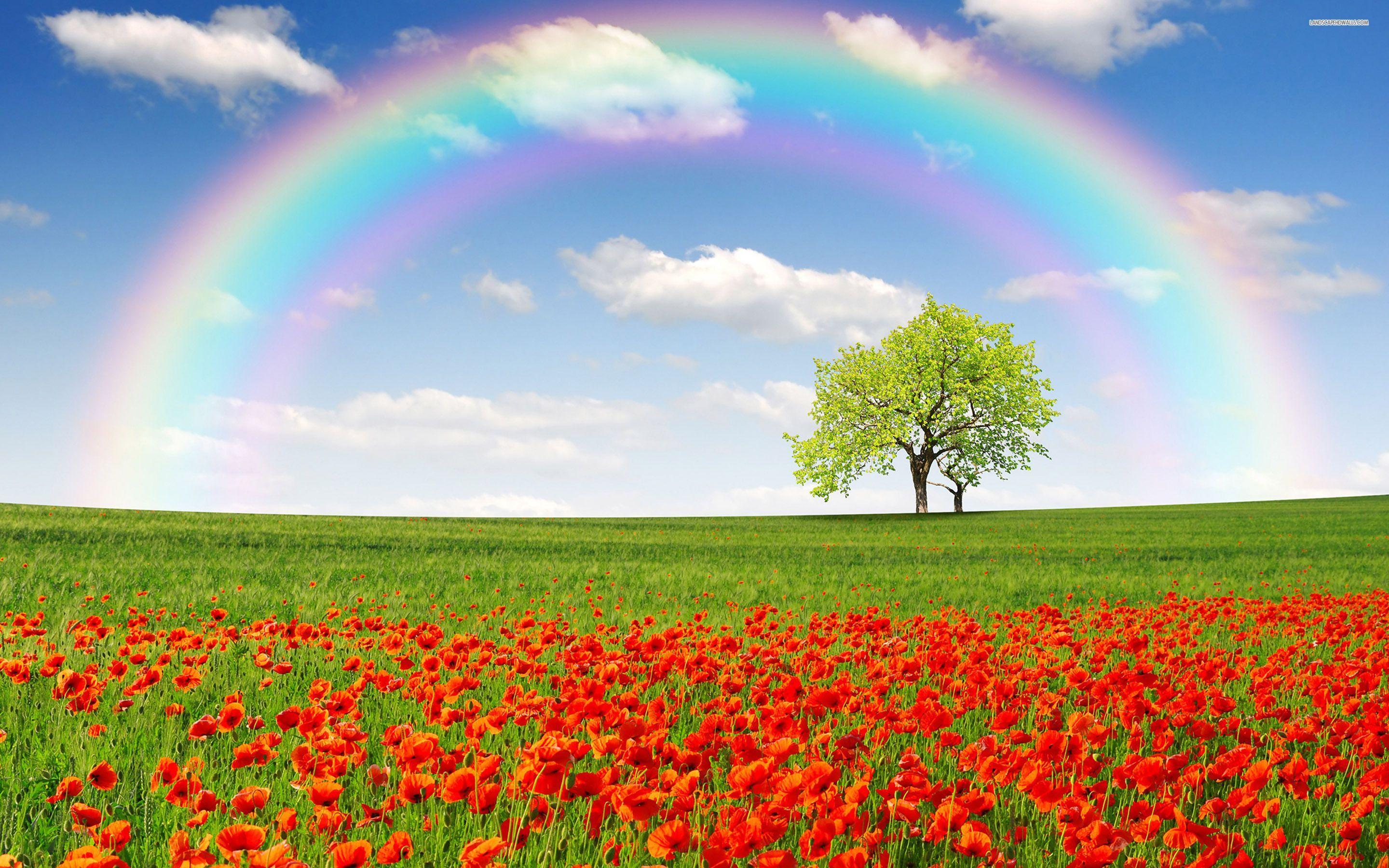 High Definition Rainbow Wallpapers