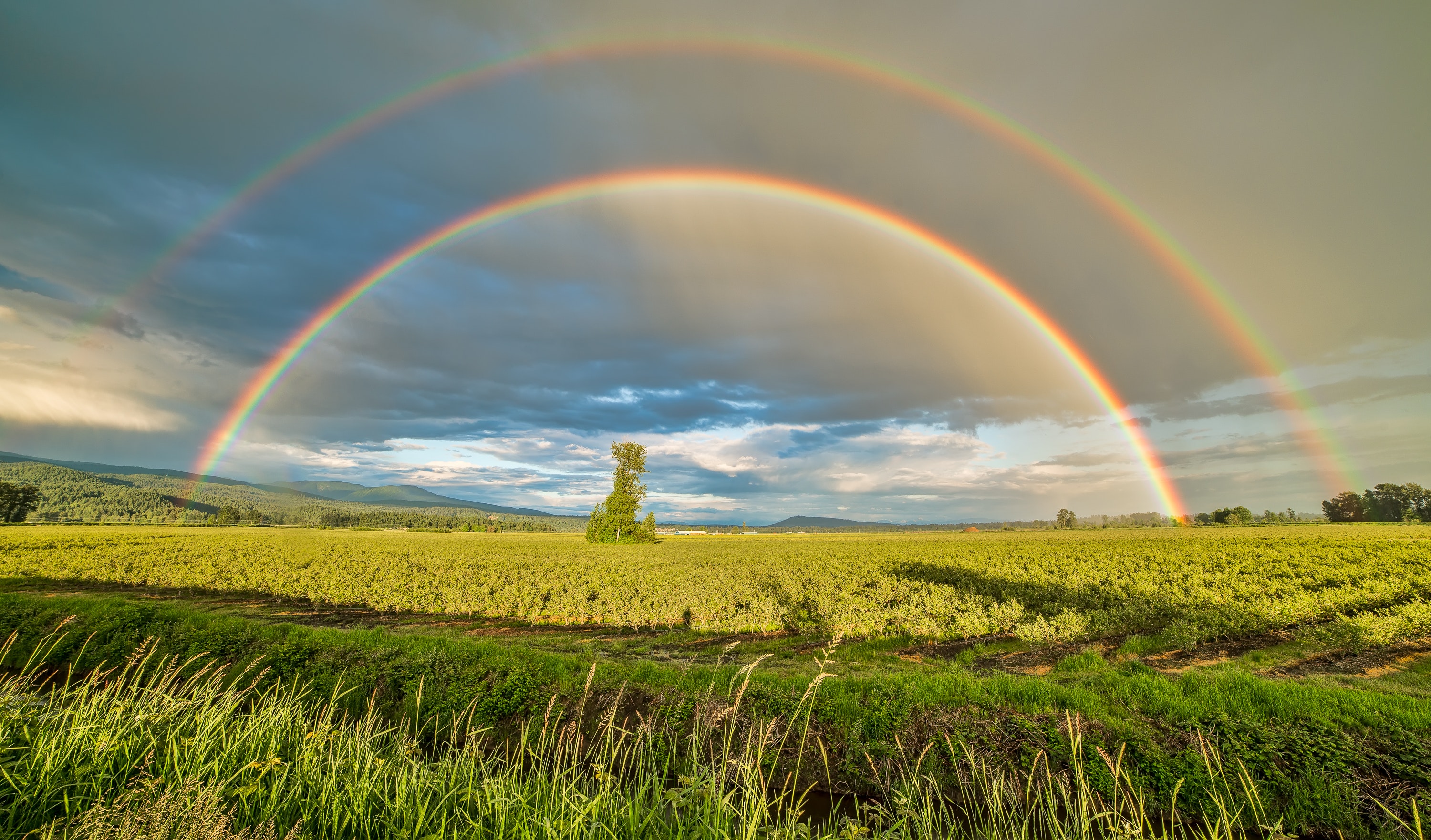 High Definition Rainbow Wallpapers