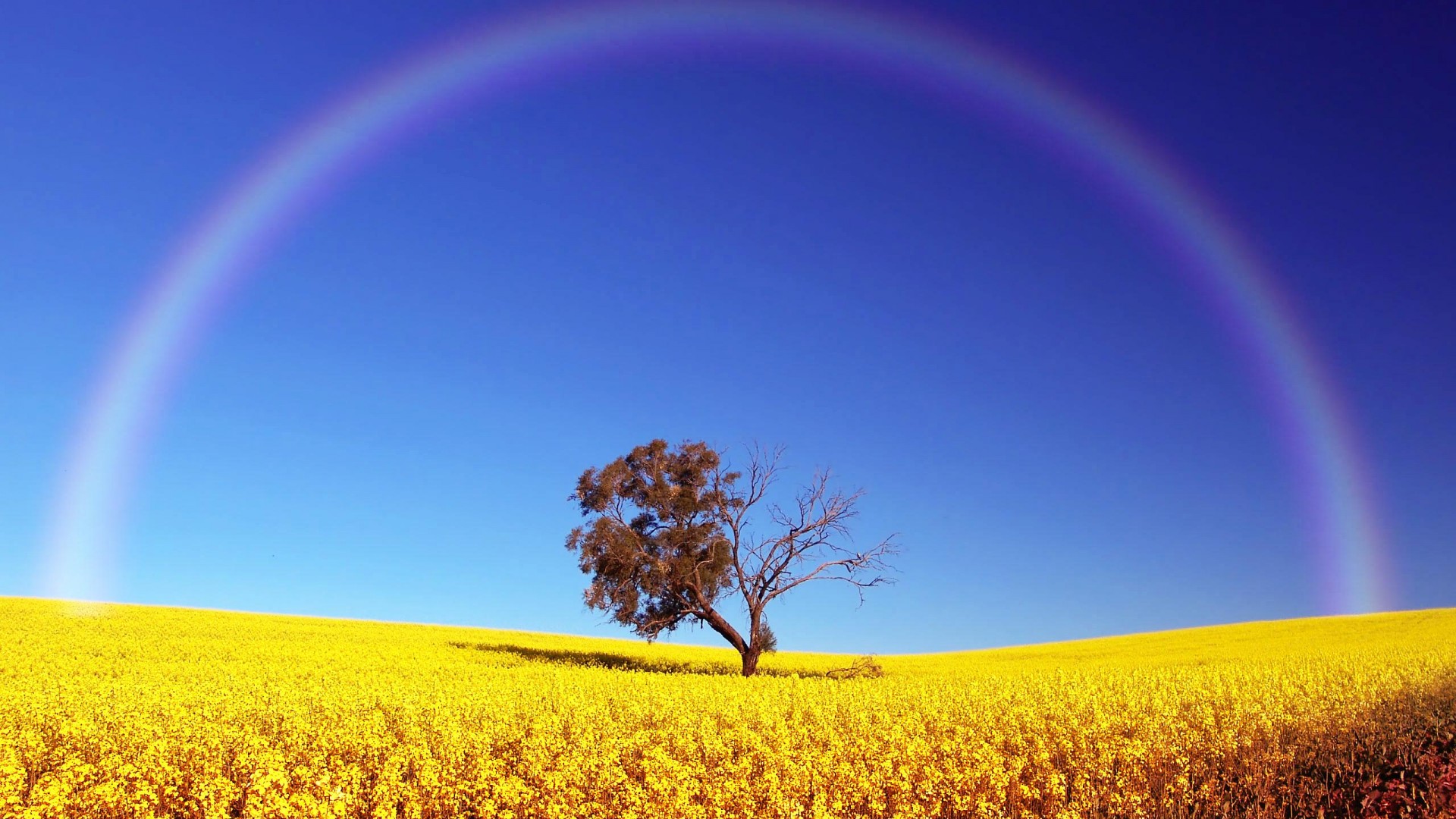 High Definition Rainbow Wallpapers