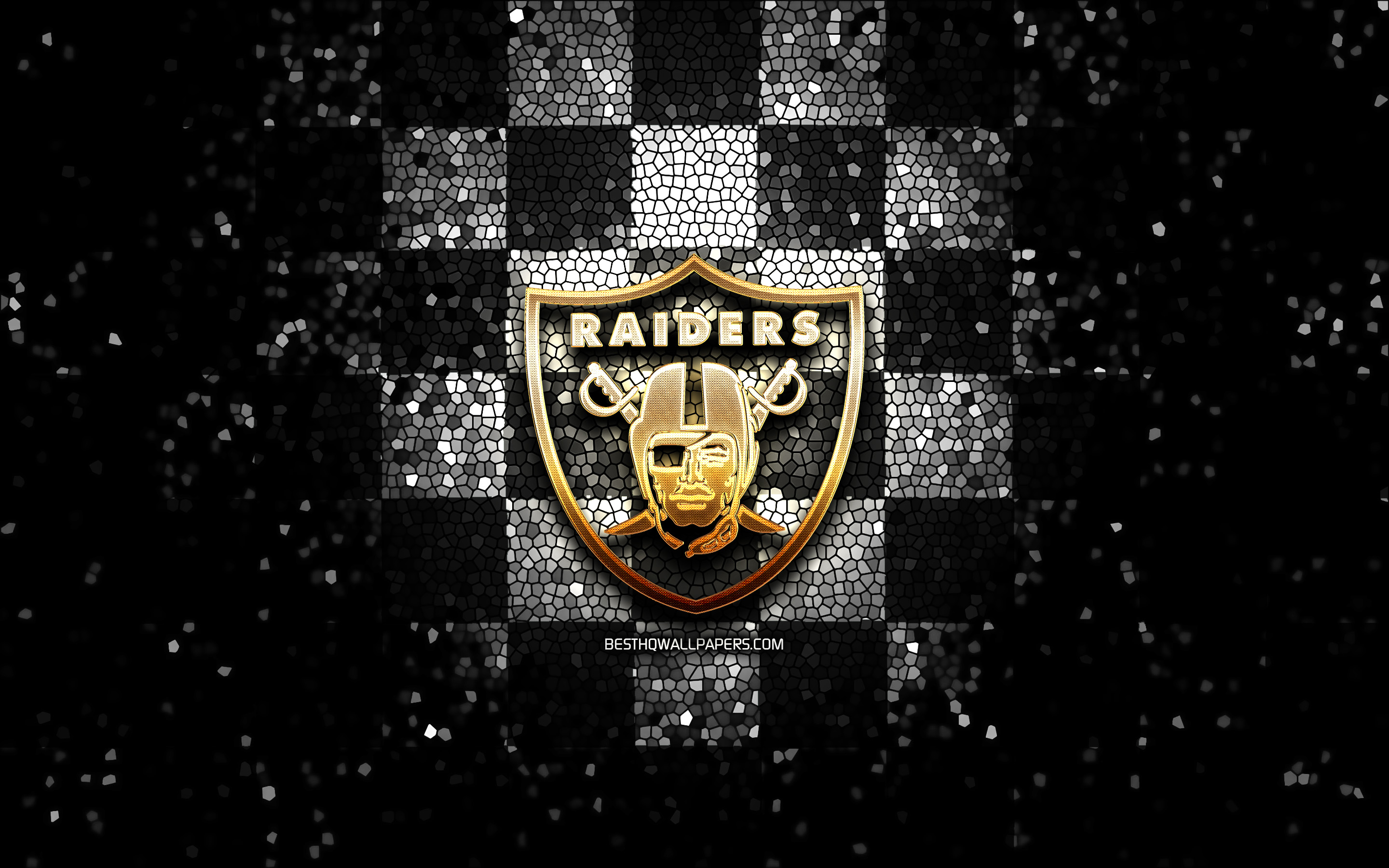 High Resolution Raiders Logo Wallpapers