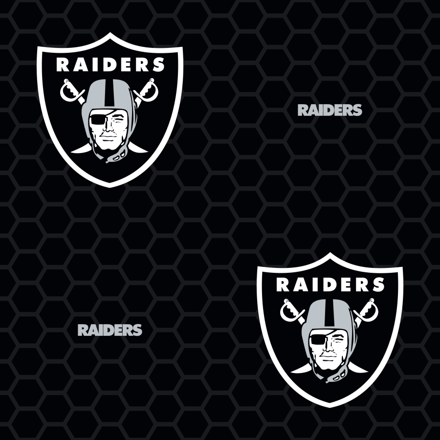 High Resolution Raiders Logo Wallpapers