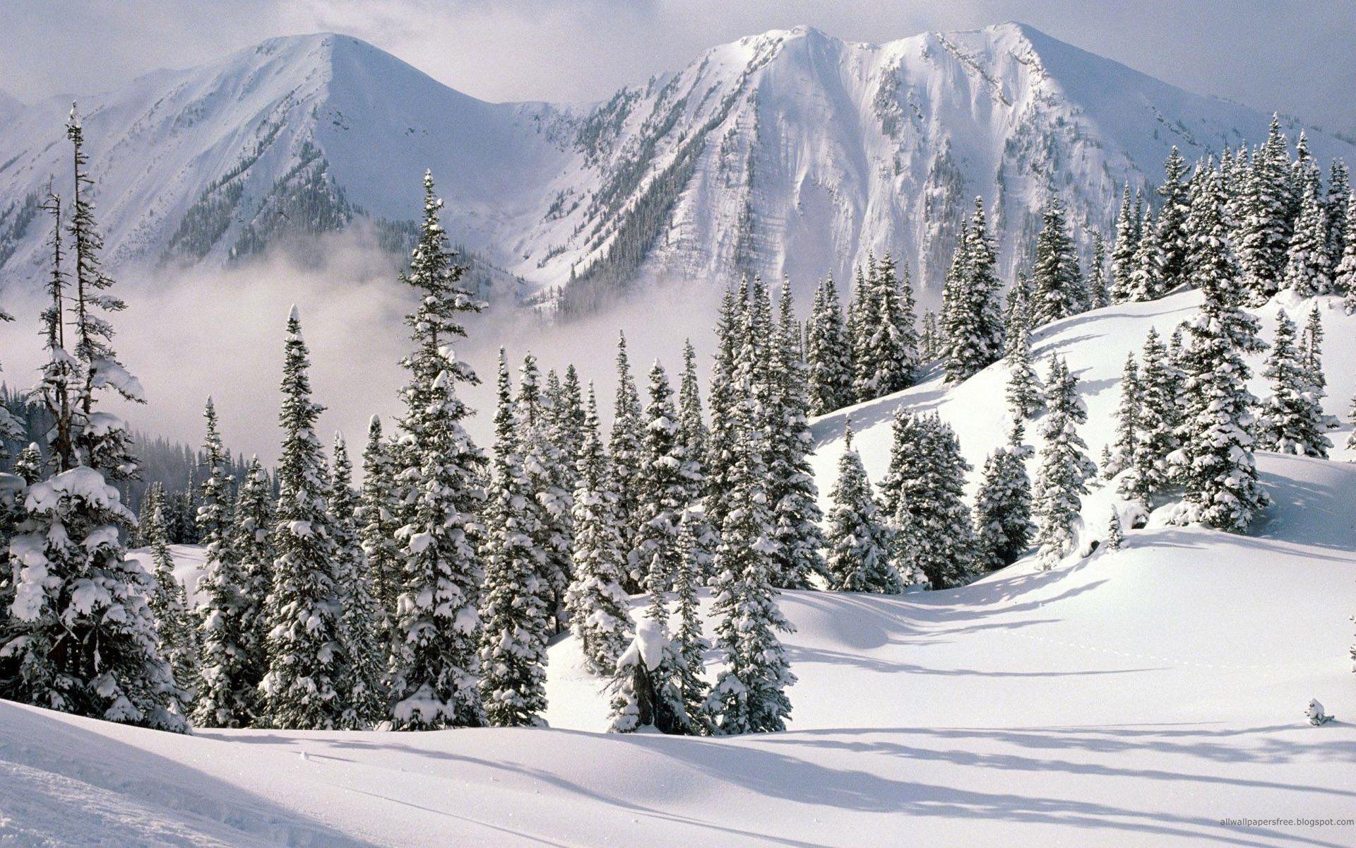 High Resolution Winter Landscape Wallpapers