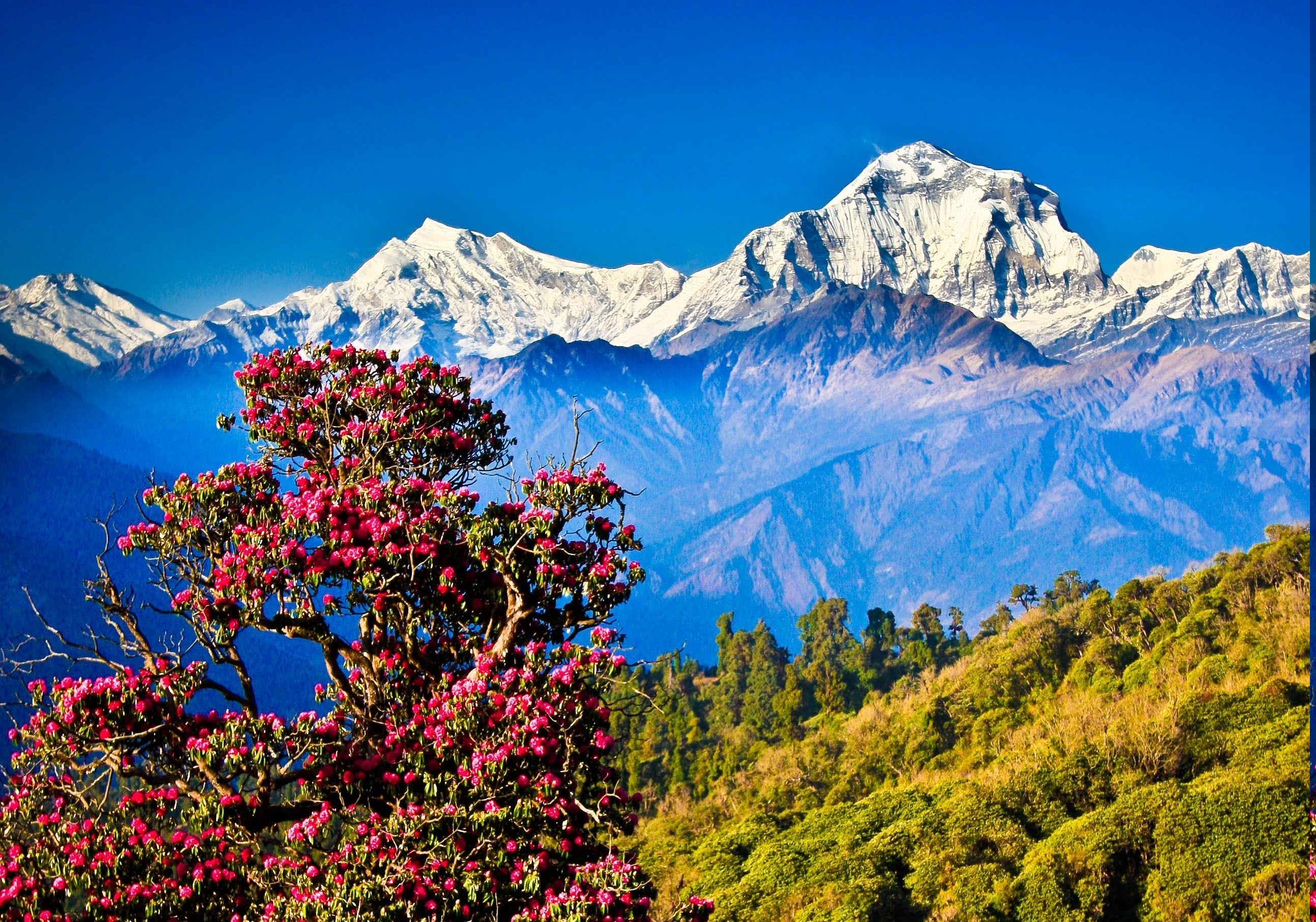 Himalaya Wallpapers