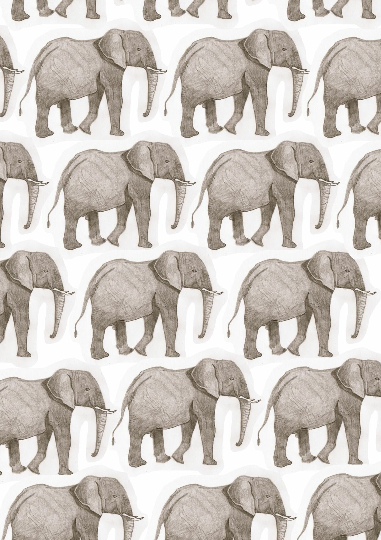 Hipster Elephant Wallpapers