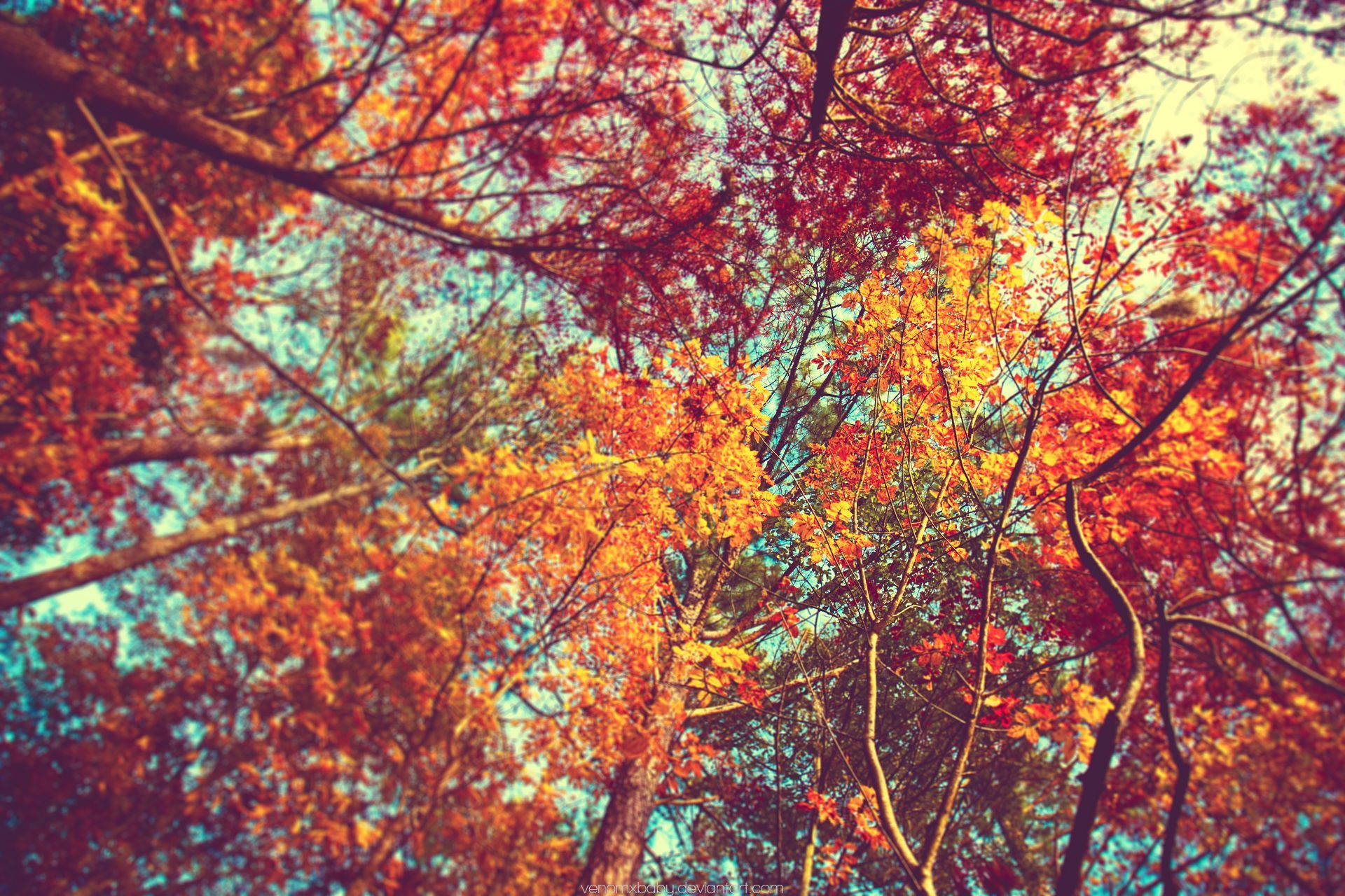 Hipster Fall Wallpapers