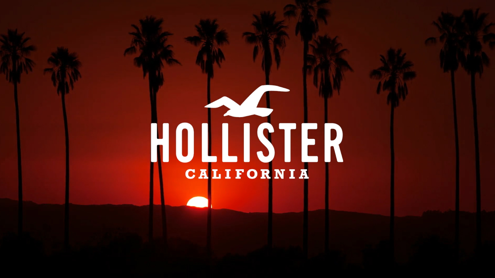 Hollister Logo Wallpapers