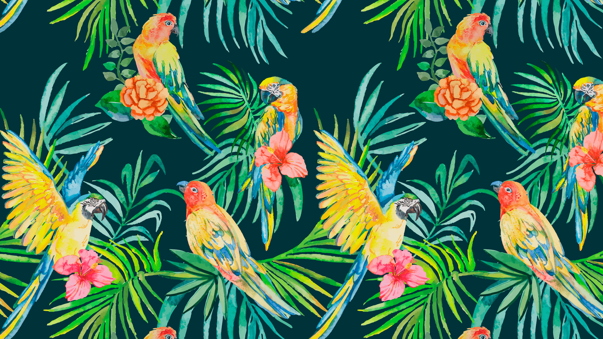 Hollister Wallpapers