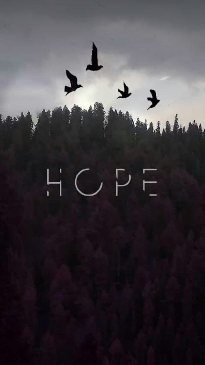 Hope Quotes Images Wallpapers