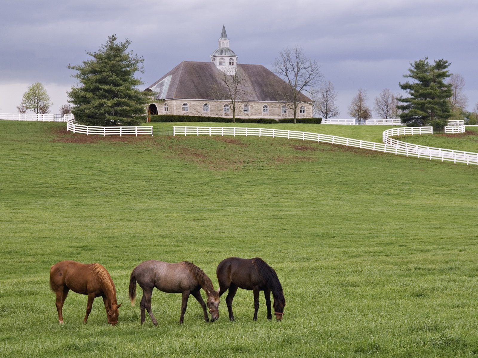 Horse Ranch Wallpapers