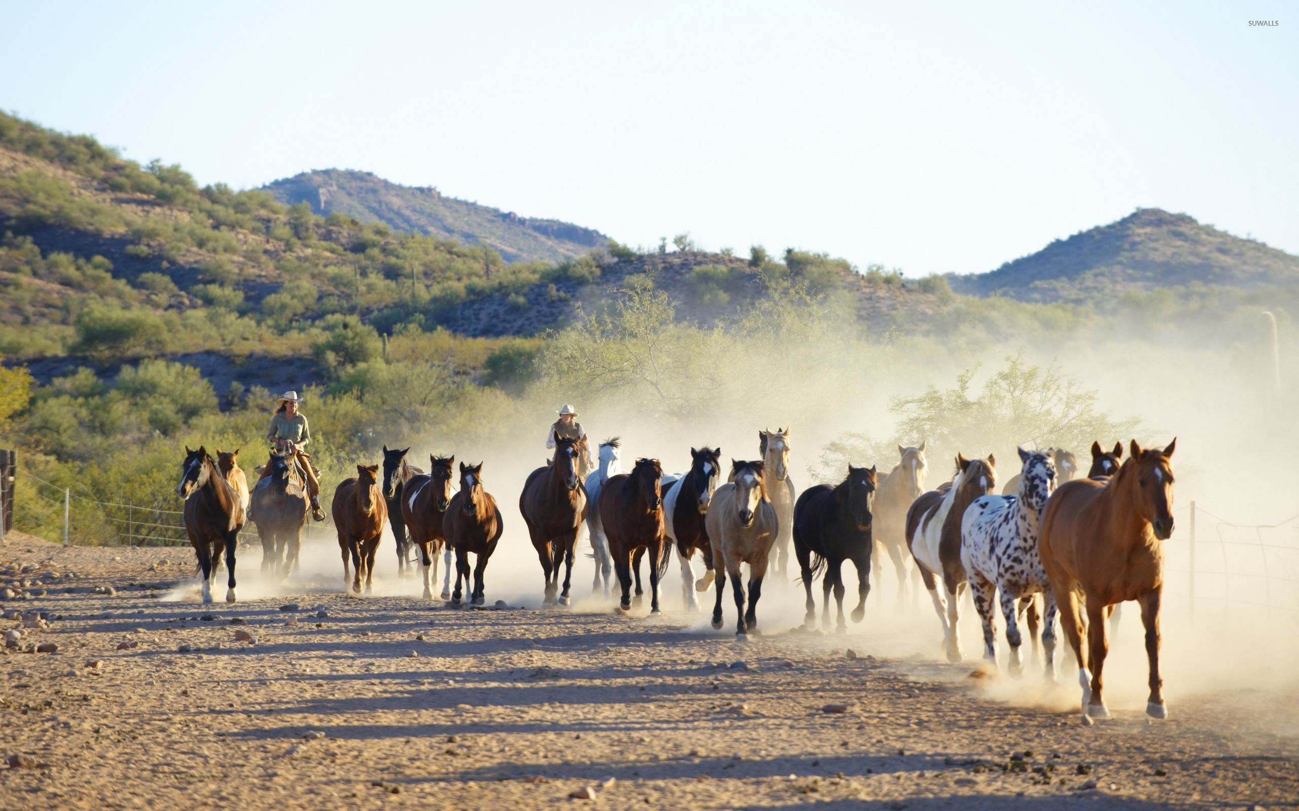 Horse Ranch Wallpapers