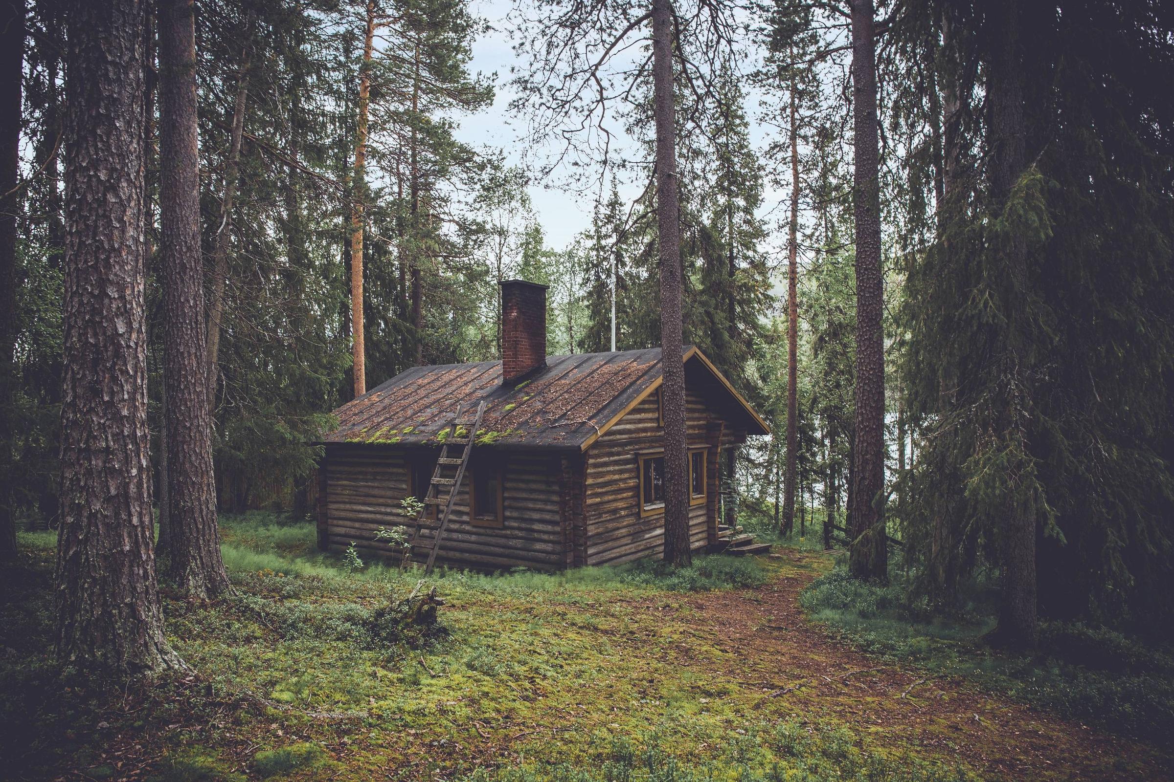 House In The Woods Wallpapers